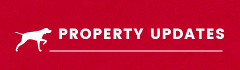 property updates button